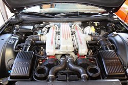 111211_LMC_0033.JPG