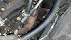 Headers08.jpg