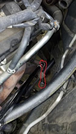 Headers08d.jpg