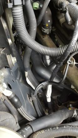 Headers29.jpg Headers29.jpg