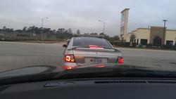 IMAG0457.jpg