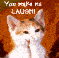 cat-laugh.gif
