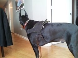 20120205_125038.jpg 20120205_125038.jpg