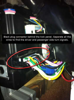 blackplug.jpg