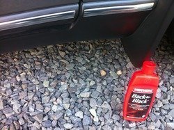 IMG_1415.jpg IMG_1415.jpg