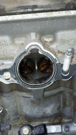prjctvq35de-14.jpg