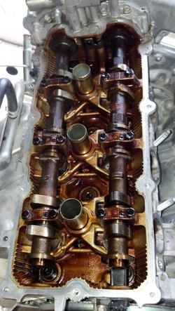 prjctvq35de-20.jpg