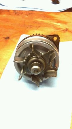 473bfc29-b23e-6f37.jpg