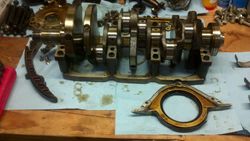 473bfc29-fa50-3426.jpg