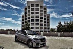 Royal-Muffler-X6M-3.jpg