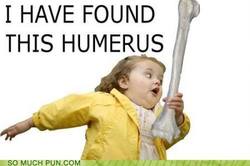 humerus.jpg