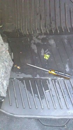 d0362d8f-2721-daa4.jpg d0362d8f-2721-daa4.jpg