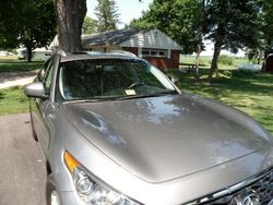 SAM_0027.jpg SAM_0027.jpg