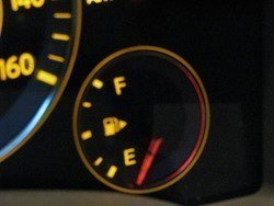 SPEEDO_1.jpg