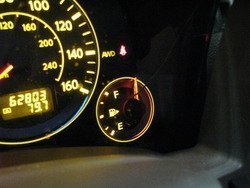 SPEEDO_4.jpg