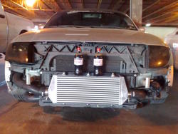 TTFMIC0313082.jpg