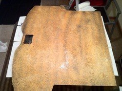 IMG_1175.jpg IMG_1175.jpg