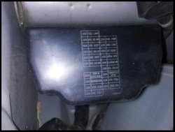 IPDM1.jpg