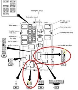 IPDM2.jpg