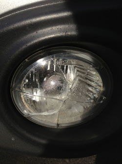 IMG_3571.jpg