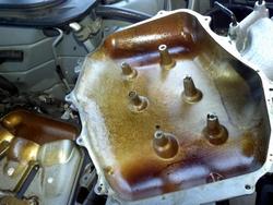 IMG_20130127_1651021.jpg