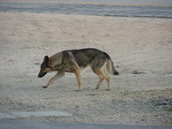 DSCN9698_zps051b15b1.jpg