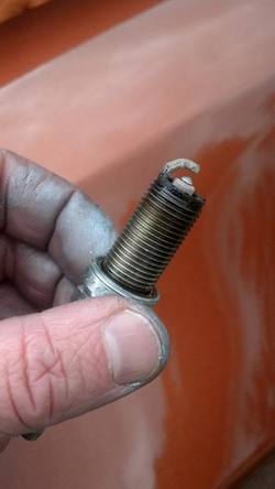 IMG_20130608_131054_876_zps7af29ee3.jpg IMG_20130608_131054_876_zps7af29ee3.jpg