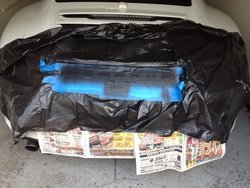 625CF18A-EBCD-4867-8E3D-A1532FD3937A-11821-00000D0FFAA398A8.jpg