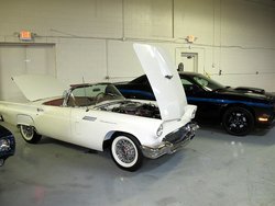 IMG_8115_PS_zps28613bc4.jpg