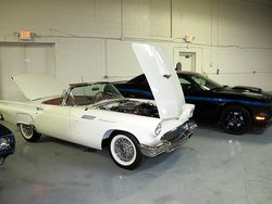 IMG_8115_PS_zps28613bc4.jpg IMG_8115_PS_zps28613bc4.jpg