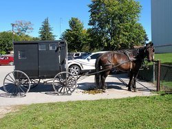 IMG_9542_PS_zps3ce971b3.jpg