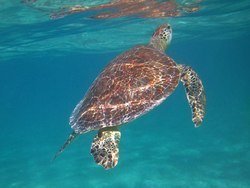 IMG_0684_zpsfecc19e8.jpg