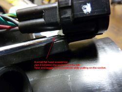 P1080180_zpsb6030fc3.jpg