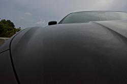 DSC_5541.jpg DSC_5541.jpg