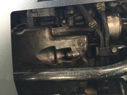 IMG_1368.jpg IMG_1368.jpg