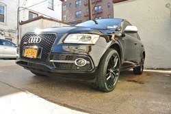DSC_1650.jpg