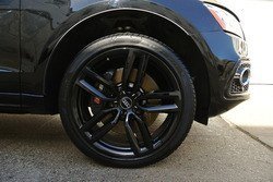 DSC_1655.jpg