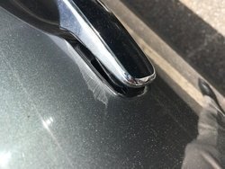 24462v9.jpg 24462v9.jpg