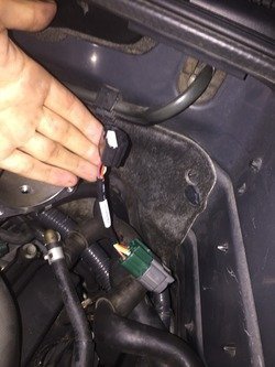 file1_zpsqvztmvb3.jpe