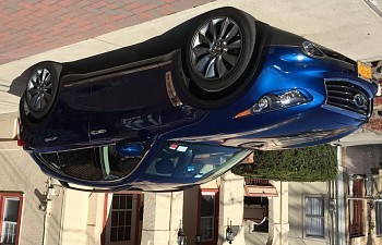 IMG_4560.JPG