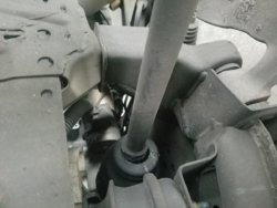 20170219_104217 (1).jpg