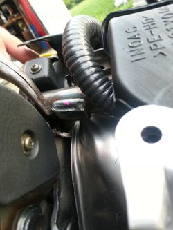 20130630_194451_zpsd47c57be.jpg 20130630_194451_zpsd47c57be.jpg