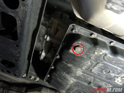 P1050391.jpg P1050391.jpg