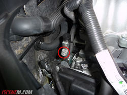 P1050397.jpg P1050397.jpg