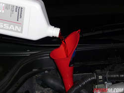 P1050406.jpg P1050406.jpg