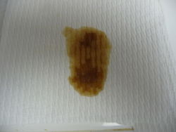 P1050414.jpg P1050414.jpg