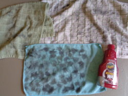 DSC00748.JPG DSC00748.JPG