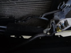 DSC00902.JPG DSC00902.JPG