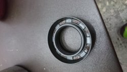 DSC_0061.JPG