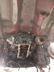 2017-12-18 11.56.49.jpg